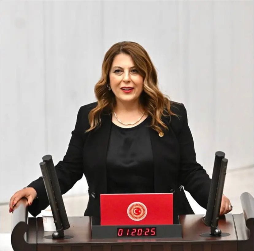 Elvan Işık Gezmiş: Vahşi madencilik köylerimizi etkiliyor – Birlik Haber Ajansı