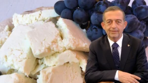 Erzincan tulum peyniri Avrupa Birliği’nde tescillendi – Birlik Haber Ajansı