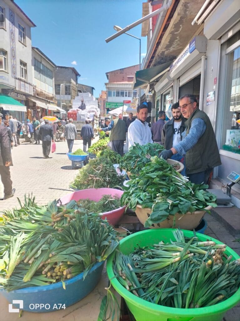 Van’da yöresel otlara yoğun ilgi uçkun ve diğer şifalı bitkiler tezgâhlarda yerini aldı – Birlik Haber Ajansı