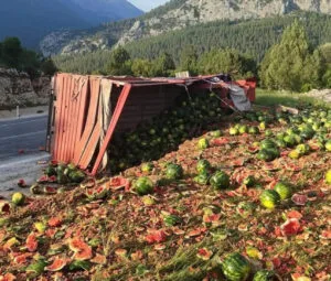 Antalya’da karpuz yüklü kamyon devrildi – Birlik Haber Ajansı