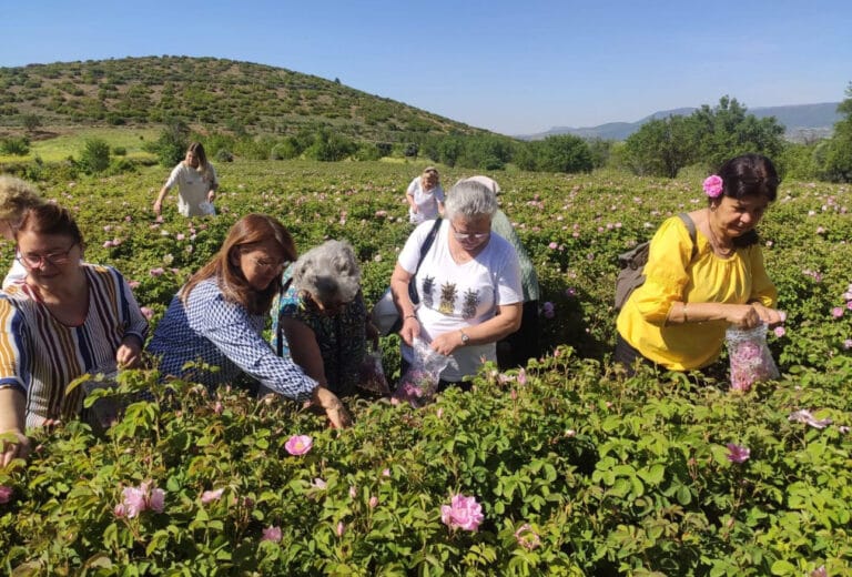 Isparta’ya gül turizminde bu yıl rekor ziyaretçi bekleniyor – Birlik Haber Ajansı