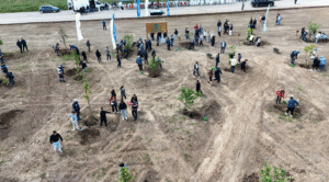 Kocaeli’nde binlerce fidan toprakla buluştu – Birlik Haber Ajansı