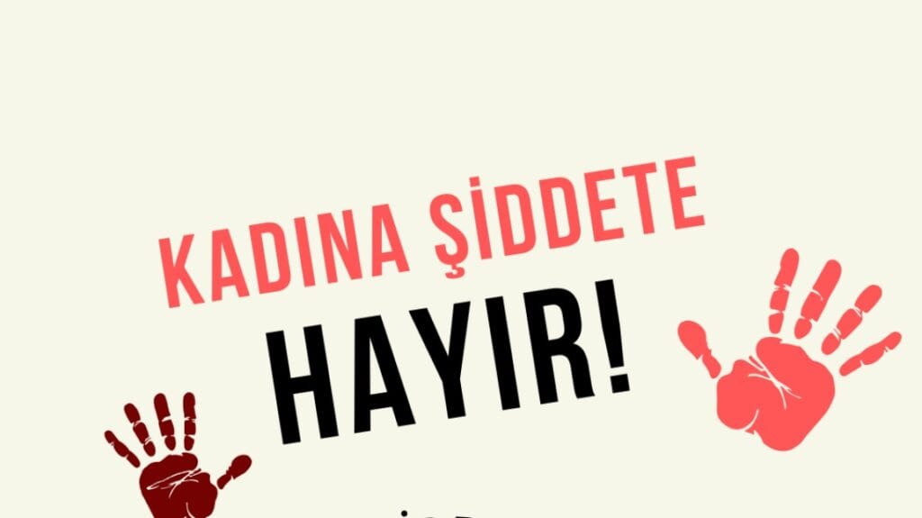 Meclis’ten kadına şiddetle mücadelede 113 maddelik yol haritası – Birlik Haber Ajansı