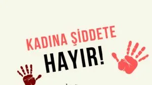 Meclis’ten kadına şiddetle mücadelede 113 maddelik yol haritası – Birlik Haber Ajansı