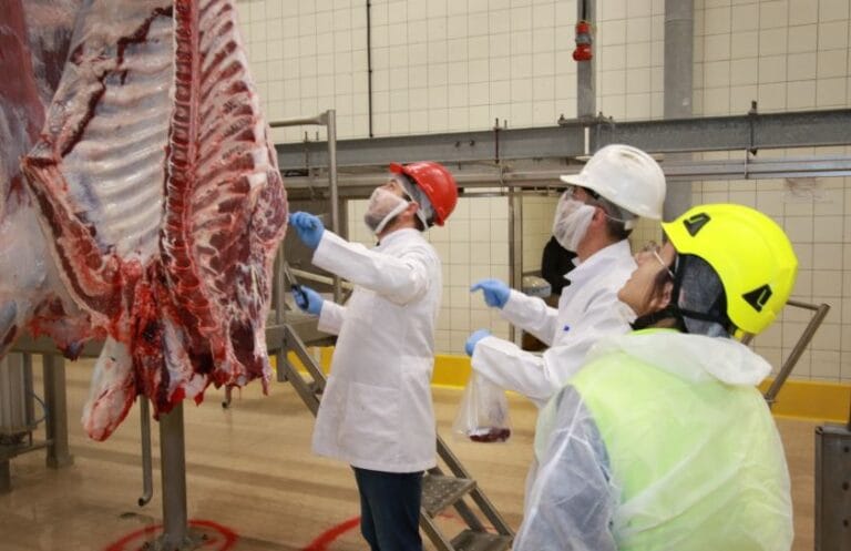 Kocaeli’de kurban kesim başvuruları 15 Mayıs’ta başlıyor – Birlik Haber Ajansı