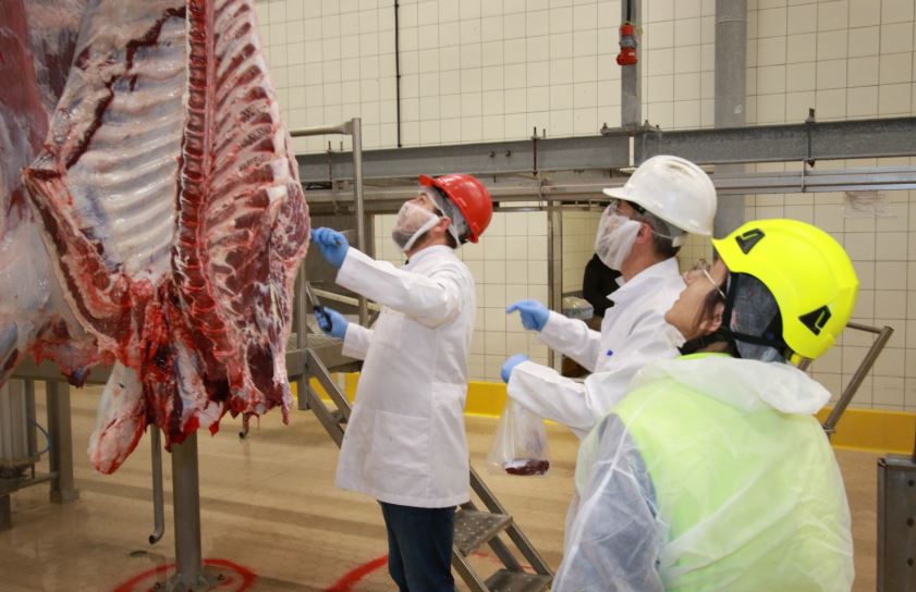 Kocaeli’de kurban kesim başvuruları 15 Mayıs’ta başlıyor – Birlik Haber Ajansı