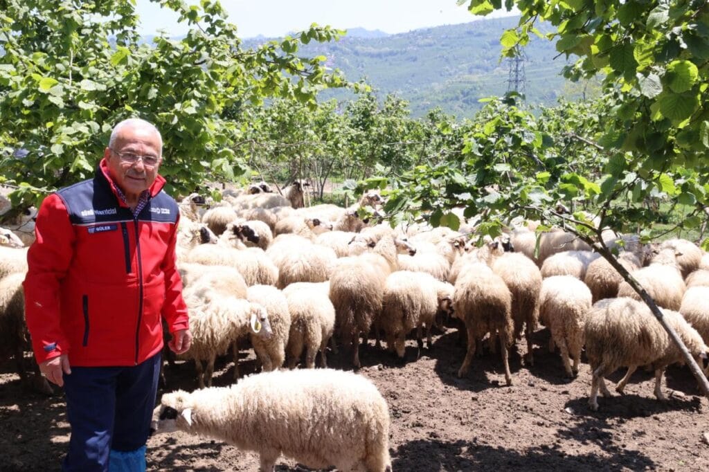 Başkan Güler: Dağıtımını yaptığımız hayvanları kendimiz yetiştiriyoruz – Birlik Haber Ajansı