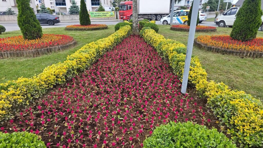 Ordu’nun dört bir yanı çiçek bahçesi oldu! – Birlik Haber Ajansı