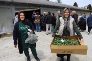 Ordu Büyükşehir Belediyesi’nin fide dağıtımına üreticilerden yoğun ilgi – Birlik Haber Ajansı