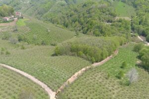 Ordu Büyükşehir Belediyesi’nden Gürgentepe’ye ilave içme suyu – Birlik Haber Ajansı