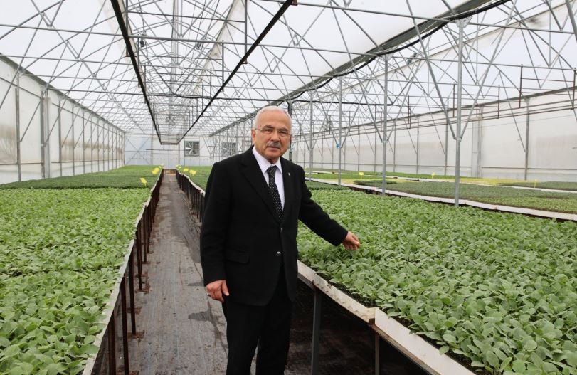 Ordu Büyükşehir, 5 yılda 4 milyon sebze fidesi dağıttı – Birlik Haber Ajansı