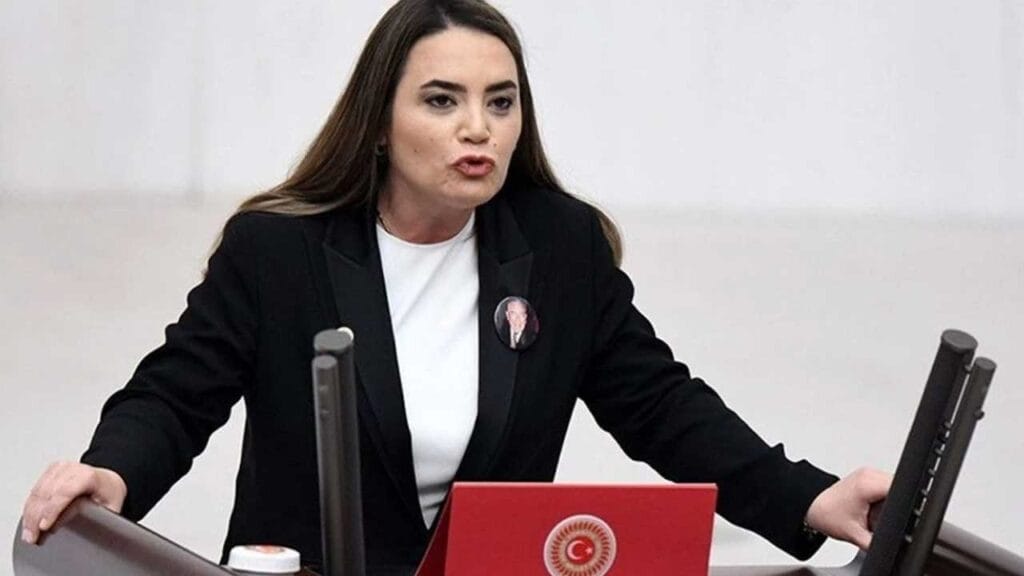 ‘İYİ Partili Ayyüce Türkeş’e babası Alparslan Türkeş’in kabri önünde saldırı’ iddiası – Birlik Haber Ajansı