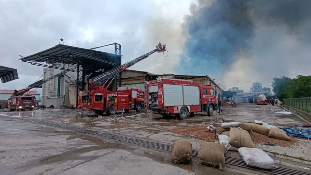 Son dakika… Sakarya’da fındık fabrikasında yangın – Birlik Haber Ajansı