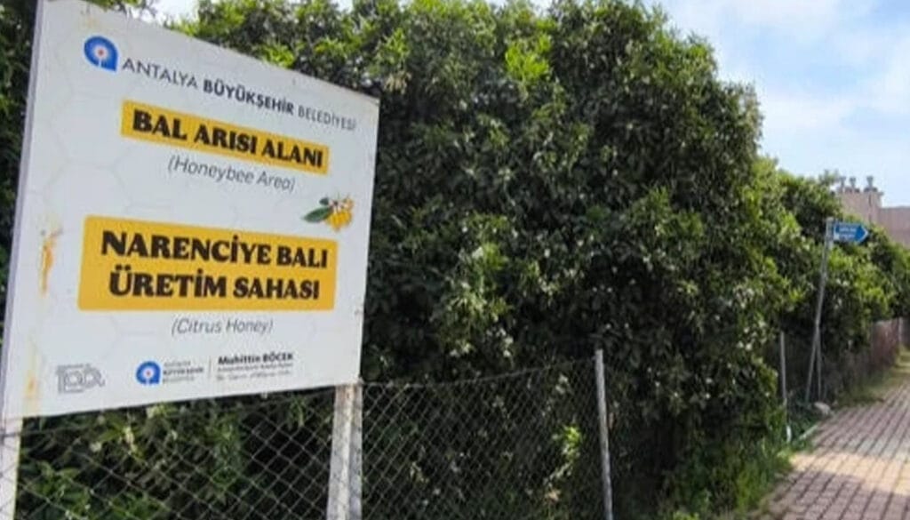 Antalya'da 'Narenciye Balı' koruma altında