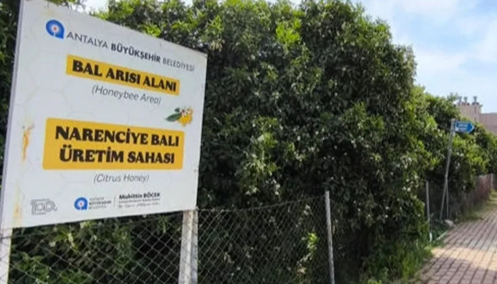 Antalya'da 'Narenciye Balı' koruma altında