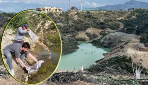 MAKÜ’de ekolojik yaşam alanındaki gölete bin balık bırakıldı – Birlik Haber Ajansı