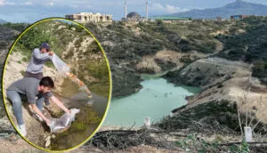 MAKÜ’de ekolojik yaşam alanındaki gölete bin balık bırakıldı – Birlik Haber Ajansı