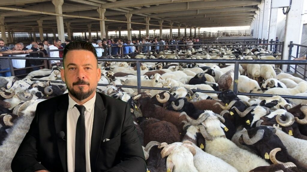 Ferit Akkurt’tan Kurbanlık seçimi ve kesim rehberi: “Kurban kesimi hijyenik, ruhsatlı alanlarda yapılmalı” – Birlik Haber Ajansı