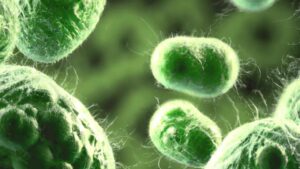 Süper bakteriye karşı umut: Yeni antibiyotik insan denemelerinde son aşamaya geçti – Birlik Haber Ajansı