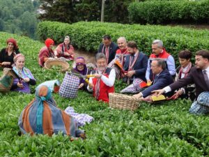 İbrahim Yumaklı: Meteorolojik olayların çaya bizim korktuğumuz bir etkisi olmadı – Birlik Haber Ajansı
