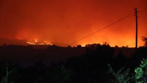 Bilecik’te korkutan orman yangını – Birlik Haber Ajansı