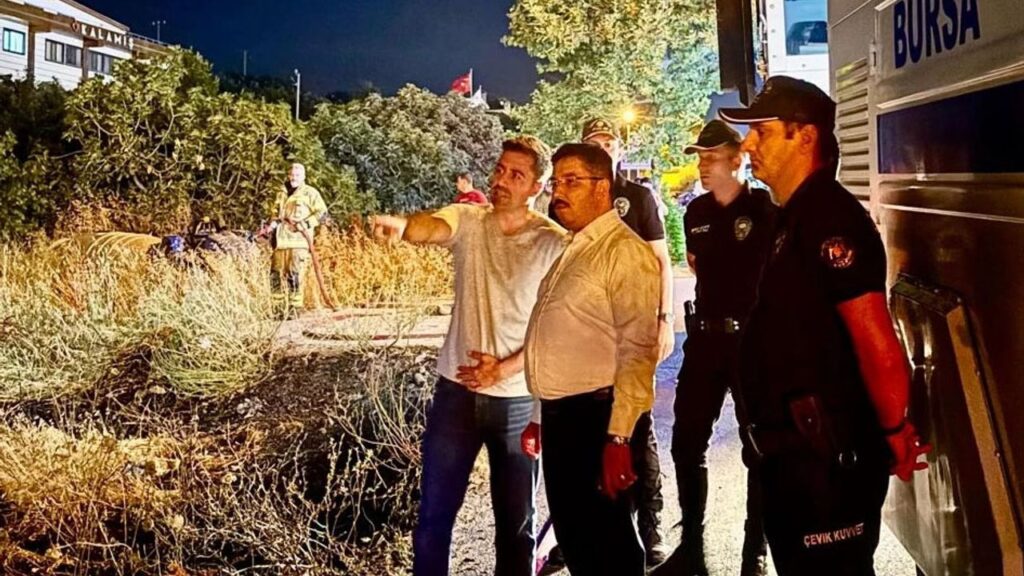 Mudanya Yolu’ndaki yangın kontrol altına alındı! 4 dönüm alan zarar gördü – Birlik Haber Ajansı