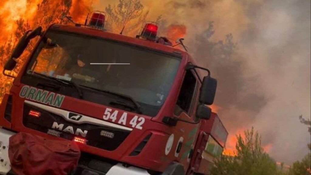 Orman’dan çağrı: ‘Ormanın Kahramanları’na yol verin – Birlik Haber Ajansı
