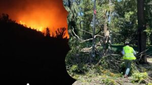 İzmir’de yangın ve fırtınayla mücadele! – Birlik Haber Ajansı