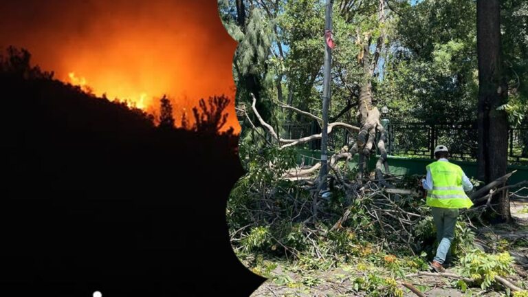 İzmir’de yangın ve fırtınayla mücadele! – Birlik Haber Ajansı