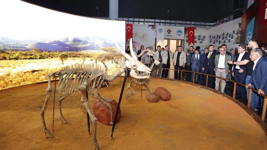 Kayseri Büyükşehir’den Adalet Bakanı’na fosil sunumu – Birlik Haber Ajansı