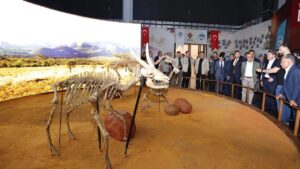 Kayseri Büyükşehir’den Adalet Bakanı’na fosil sunumu – Birlik Haber Ajansı