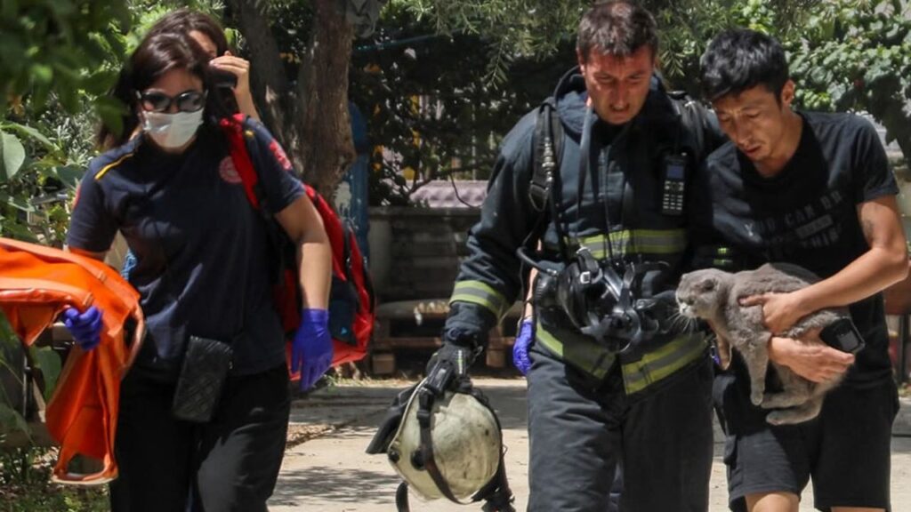 Yangında mahsur kaldığı evde kedisini bir an olsun bırakmadı – Birlik Haber Ajansı