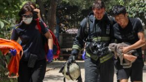 Yangında mahsur kaldığı evde kedisini bir an olsun bırakmadı – Birlik Haber Ajansı