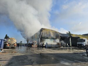 Adana’da sanayi alanında yangın: Geri dönüşüm tesisi zarar gördü – Birlik Haber Ajansı