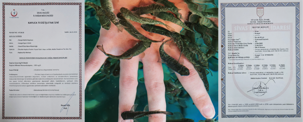 Kangal Balıklı Kaplıca işletmecisi Ünsallar A.Ş.’den basın açıklaması – Birlik Haber Ajansı