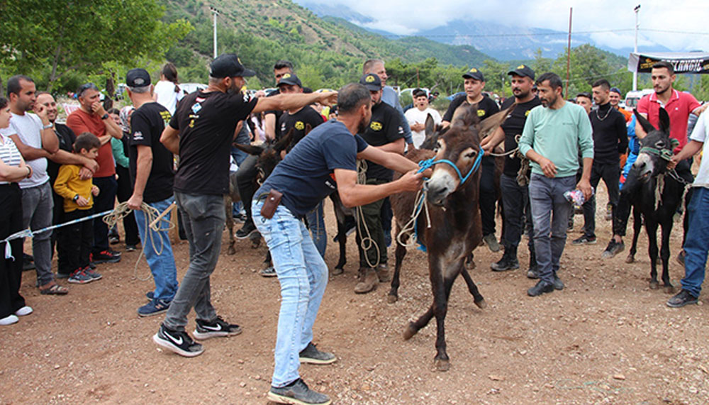 Kumluca Karacaören Şenliği: Motokros heyecanı ve eşek yarışları renk kattı – Birlik Haber Ajansı