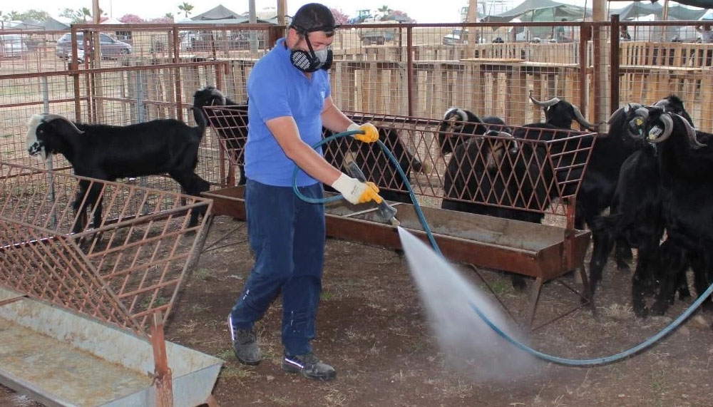 Antalya’da bayram öncesi yoğun ilaçlama – Birlik Haber Ajansı