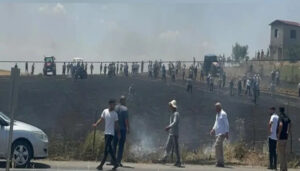 Batman’da Buğday tarlasında yangın: 25 dönüm kül oldu – Birlik Haber Ajansı