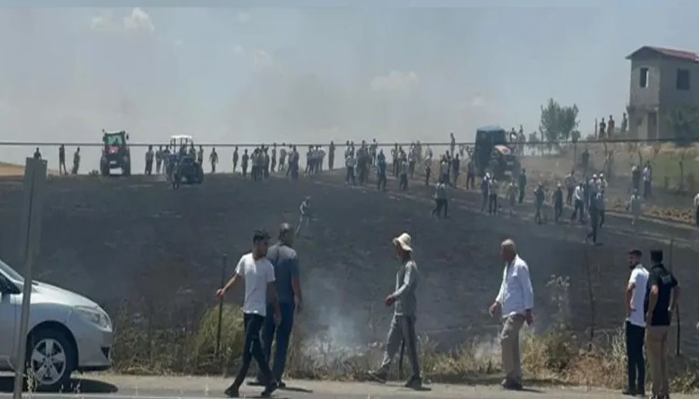 Batman’da Buğday tarlasında yangın: 25 dönüm kül oldu – Birlik Haber Ajansı