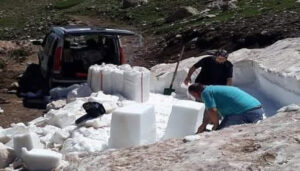 Toroslardan sofralara: Akdağ’ın karı pekmezle buluşuyor – Birlik Haber Ajansı