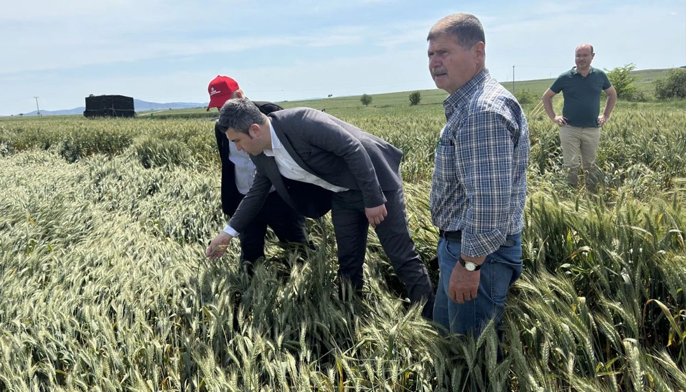 CHP Keşan AK Partilileri tarlaya davet etti! – Birlik Haber Ajansı