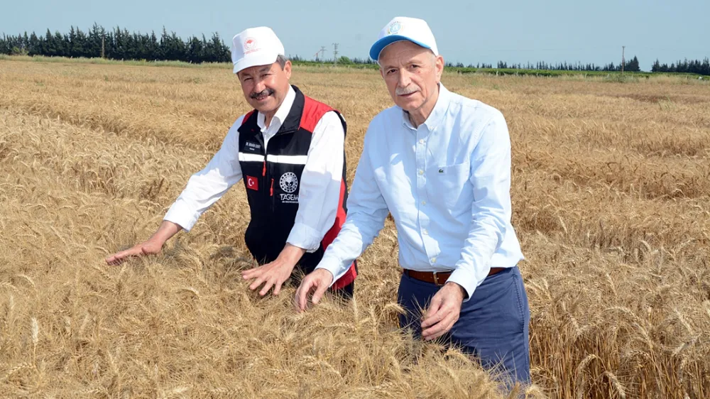 Bilgiç: Yerli tohum ve Ar-Ge; olmazsa olmazımızdır – Birlik Haber Ajansı