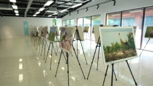 Türkiye’nin doğal güzellikleri Ormanya’da hayat buluyor – Birlik Haber Ajansı