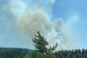 İzmir Kınık’ta orman yangını: Müdahale havadan ve karadan sürüyor – Birlik Haber Ajansı