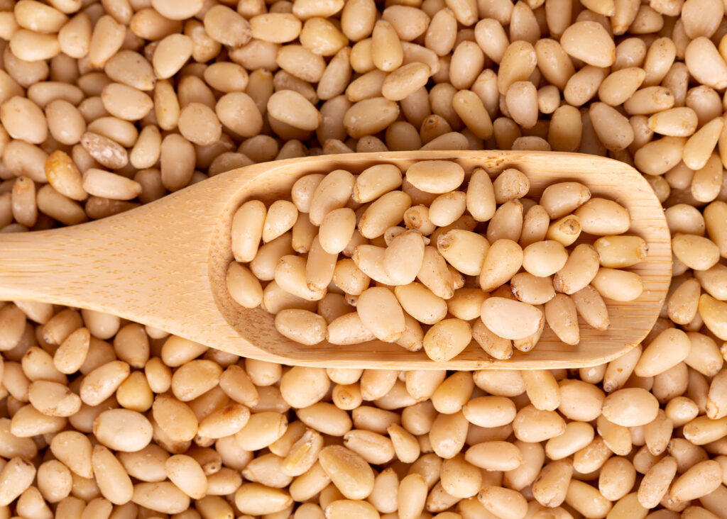 Aydın çam fıstığı AB’den coğrafi işaret tescili aldı – Birlik Haber Ajansı