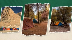 Tarım ve Orman Bakanlığı ‘Baba-Çocuk Doğa Kampı’ düzenliyor – Birlik Haber Ajansı