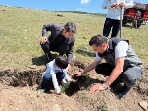 Sarıkamış’ta şehitler için dikilen fidanlar toprakla buluştu – Birlik Haber Ajansı