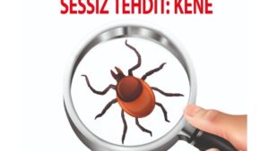 Kars’ta Beylerbeyi Sarayı Oteli’nde “Sessiz tehdit: Kene” başlıklı bilim sohbeti gerçekleştirilecek – Birlik Haber Ajansı