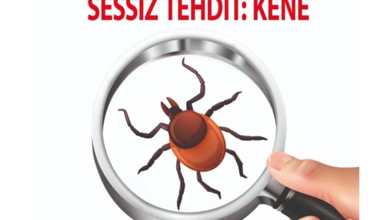 Kars’ta Beylerbeyi Sarayı Oteli’nde “Sessiz tehdit: Kene” başlıklı bilim sohbeti gerçekleştirilecek – Birlik Haber Ajansı