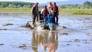 Düzce Efteni Gölü temizleniyor – Birlik Haber Ajansı